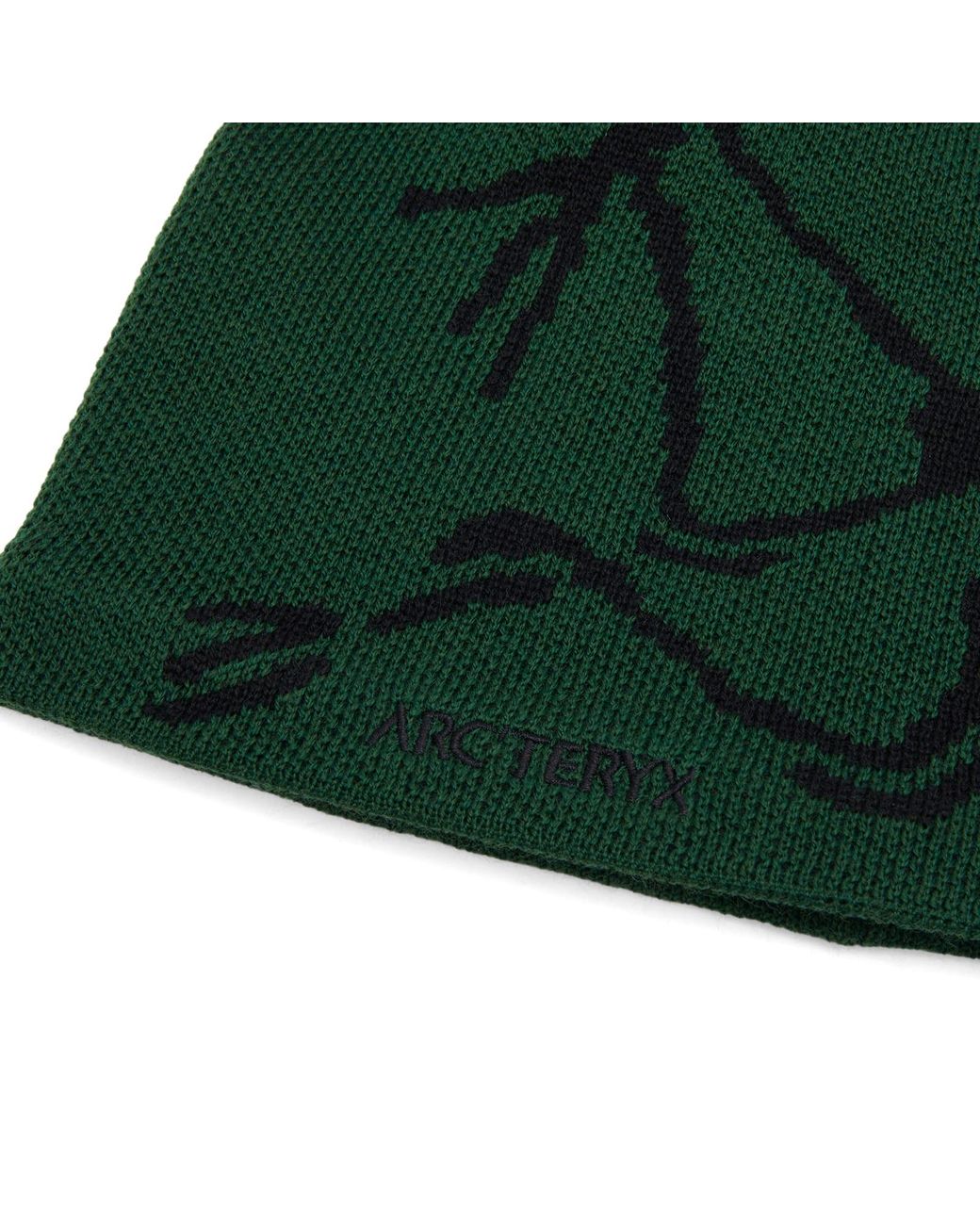 arcteryx-EdenBlack-Bird-Head-