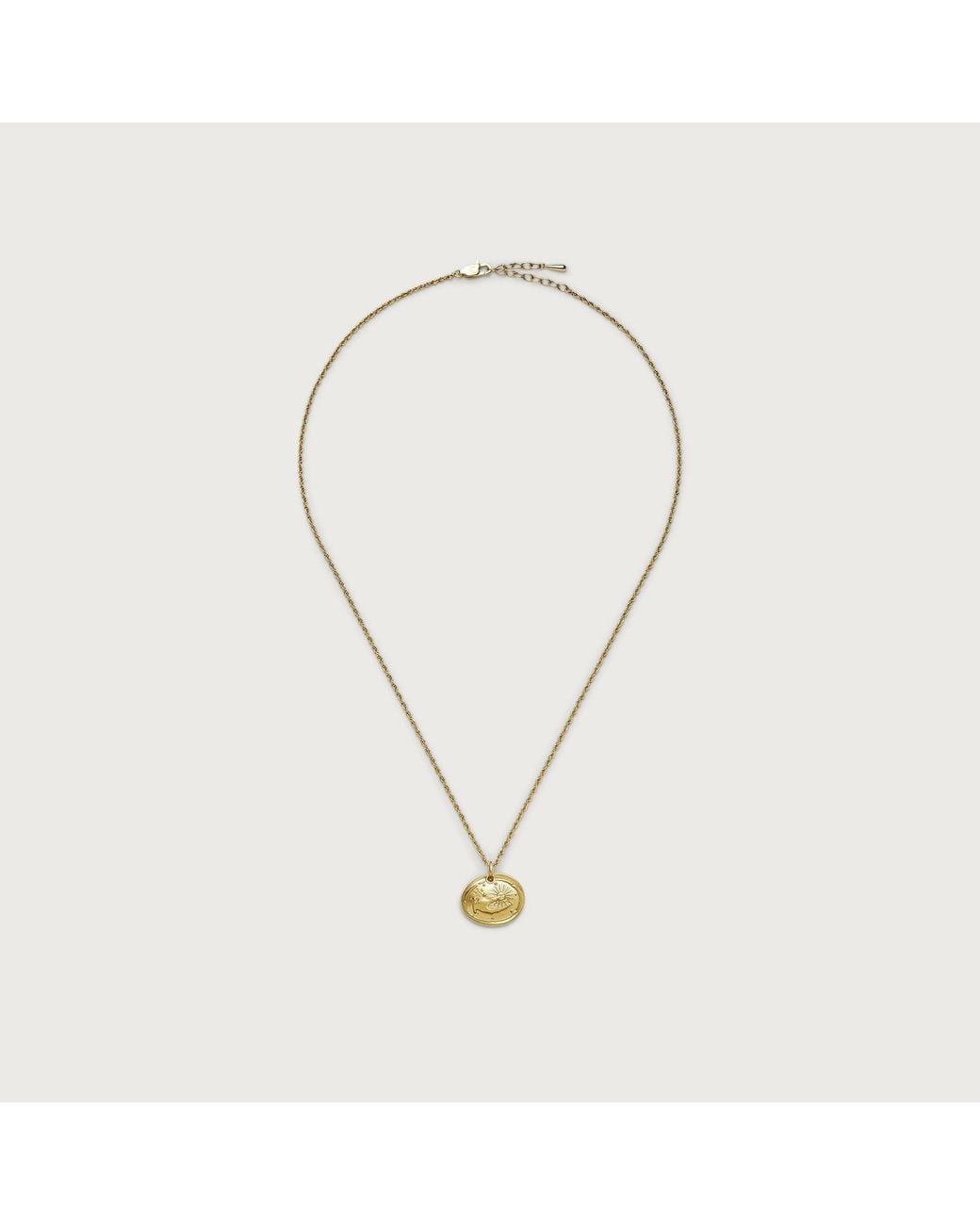 Missoma Metallic The Fortune Talisman Rope Chain Necklace