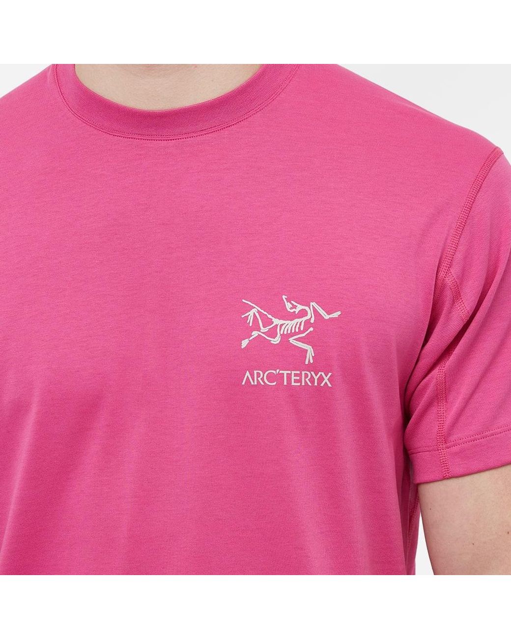 Arc'teryx Arcteryx System A Copal Bird T-shirt in Pink for Men | Lyst