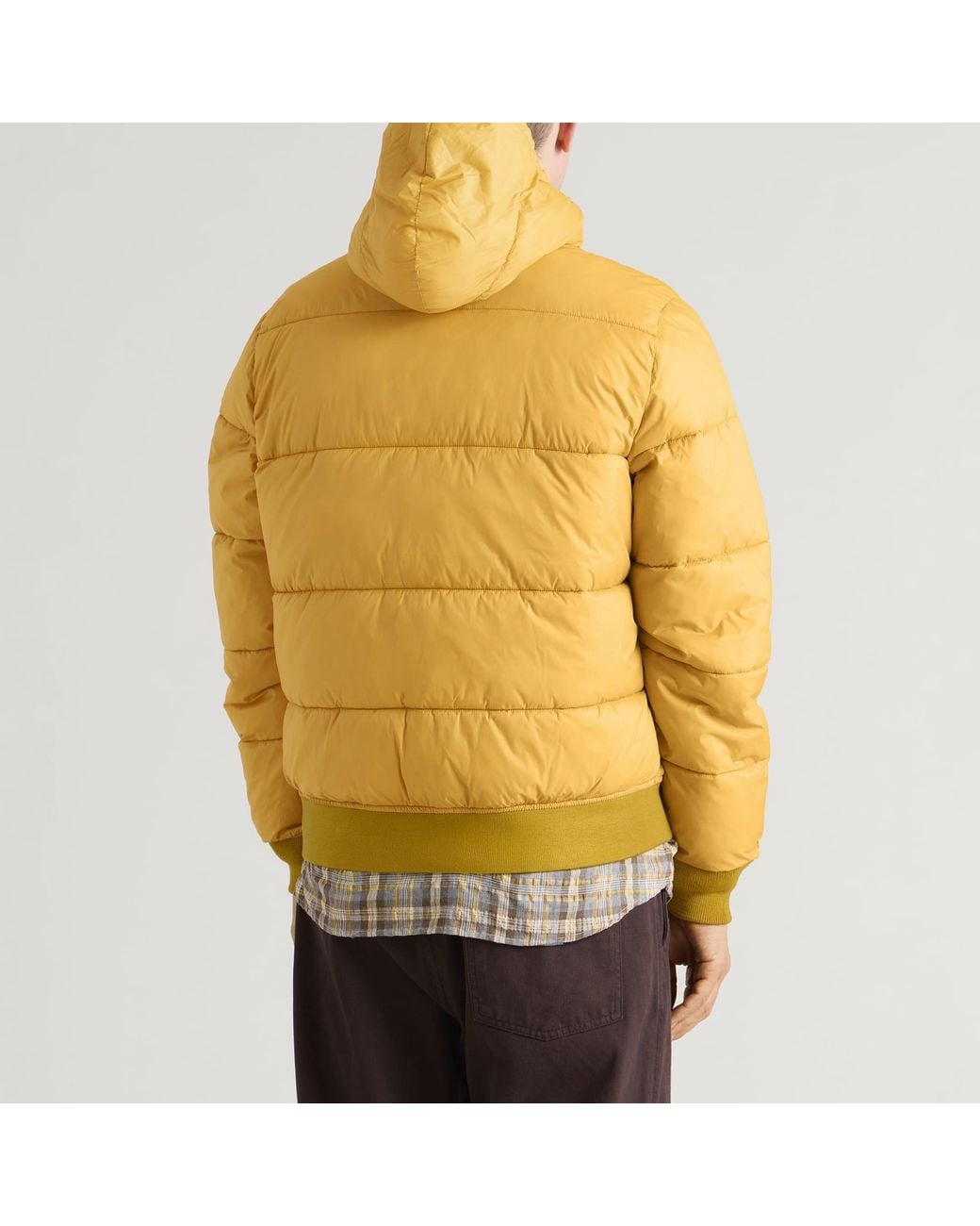 Big Rock Candy Mountaineering Yellow Alpine Puffer Jacket for men