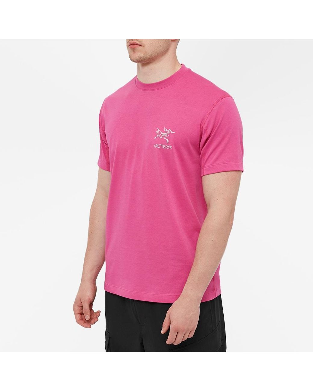 Arc'teryx Arcteryx System A Copal Bird T-shirt in Pink for Arc'teryx Arcteryx System A Copal Bird T-shirt in Pink for