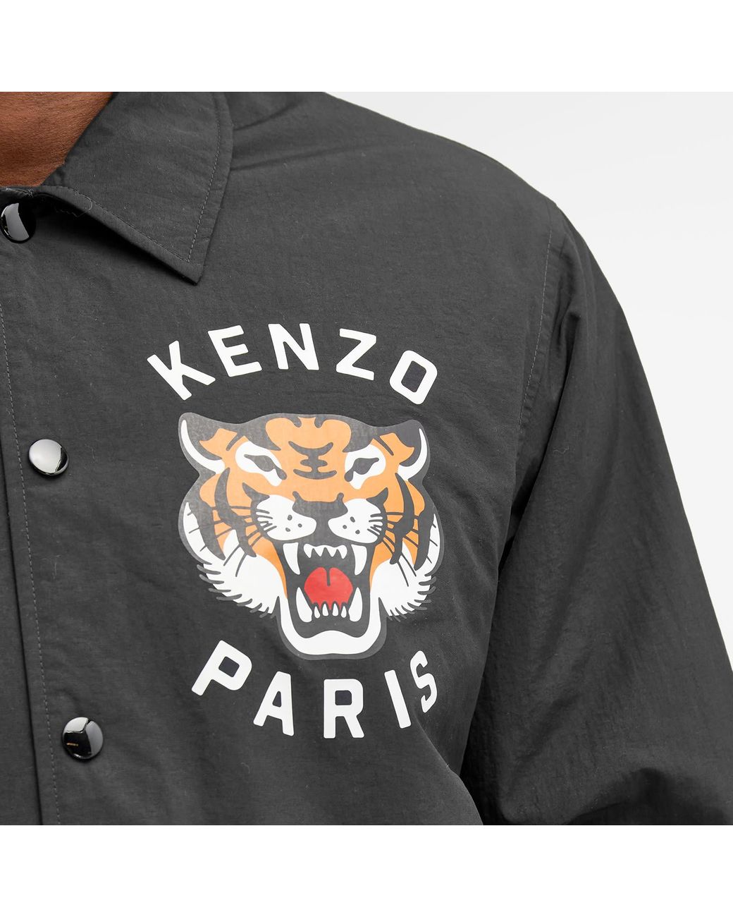 KENZO Lucky Tiger Padded Coach Jacket in Black for Men | Lyst