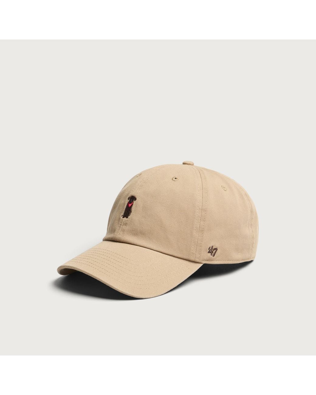 '47 Natural Dogs Clean Up Cap