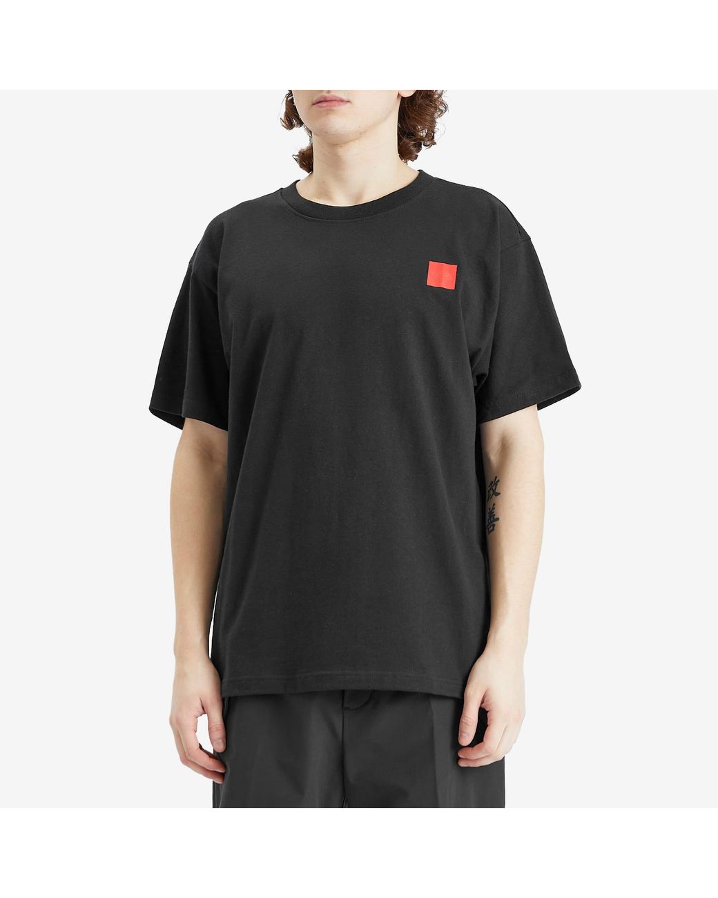The North Face 40Th Anniversary Mountain T-Shirt in Black