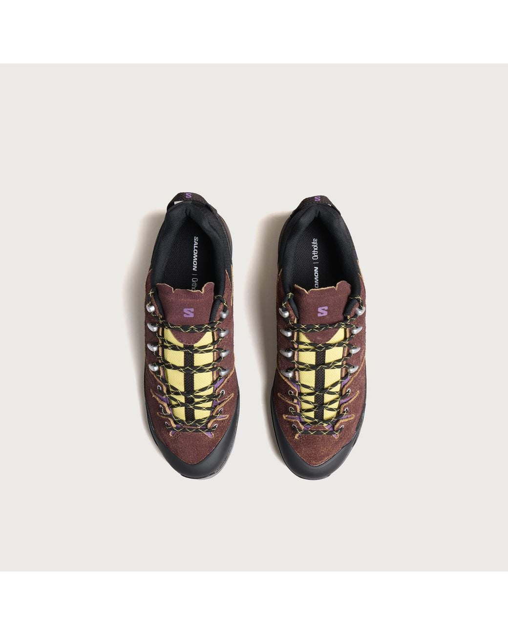 Salomon Brown X-Alp Expedition Sneaker for men