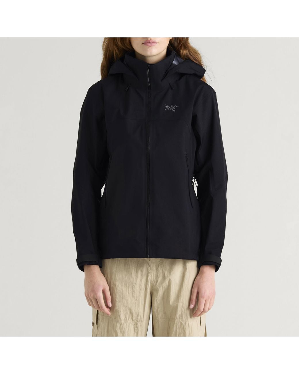 Arc'teryx Black Beta Ar Jacket