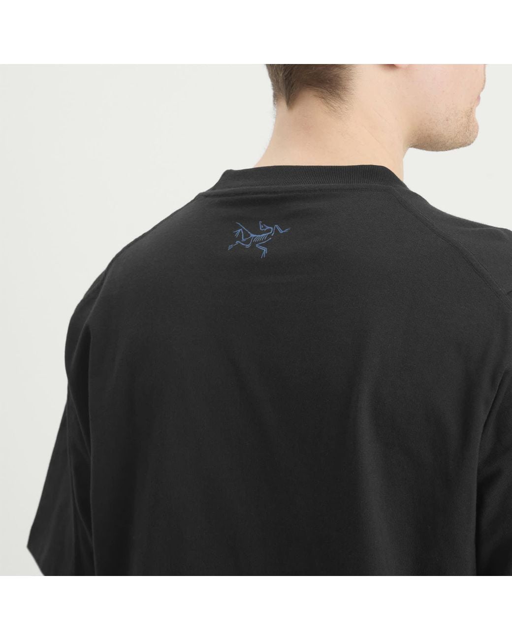 Arc'teryx Kragg Cotton Lithographica T-Shirt in Black for Men | Lyst
