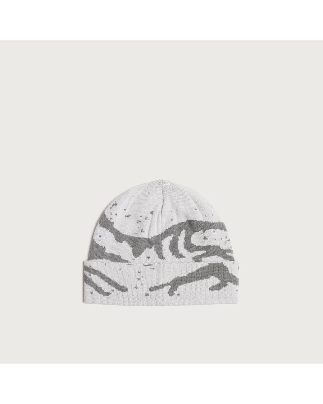 Arc'teryx White Grotto Toque