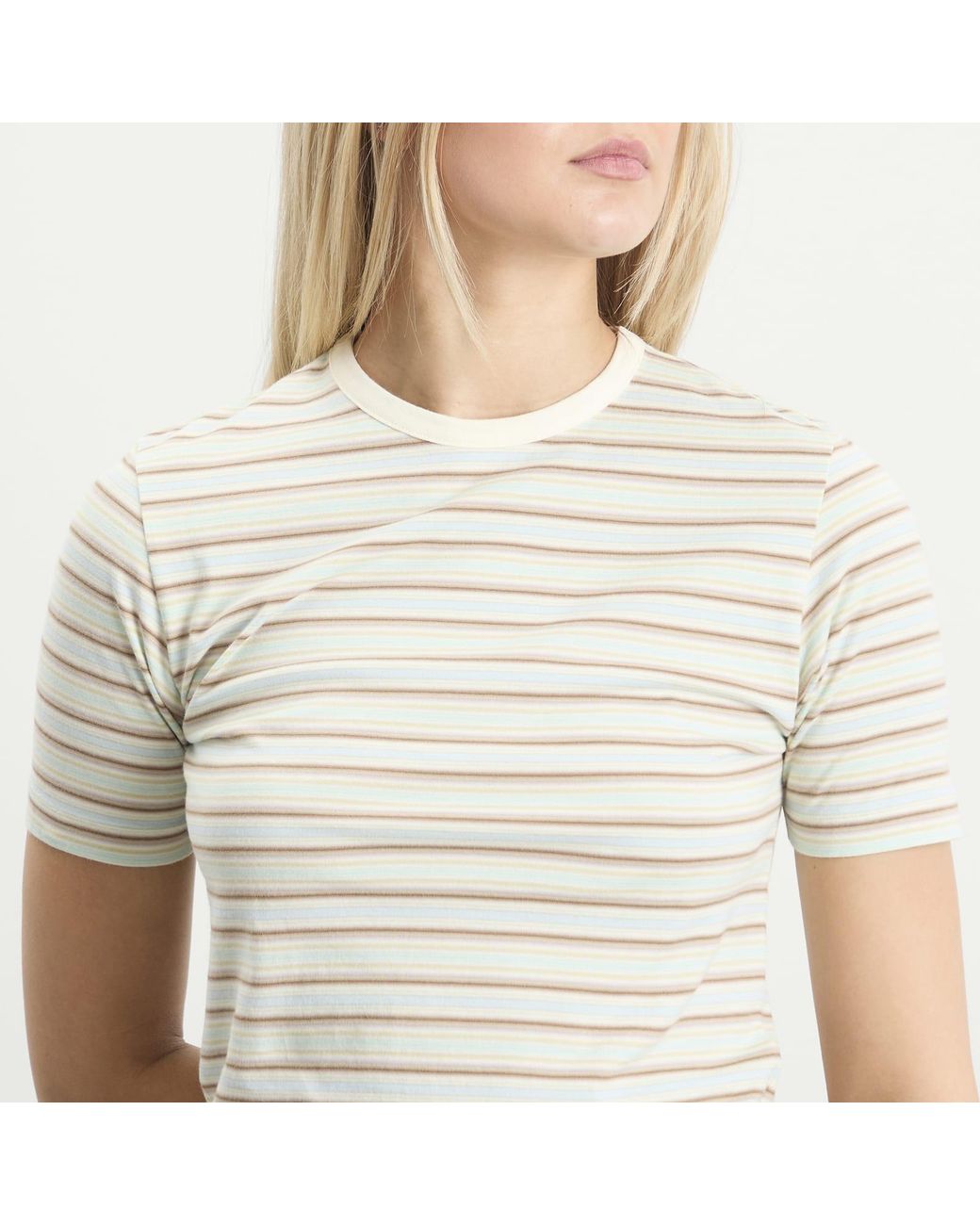 Auralee Natural Gradient Stripe T-Shirt