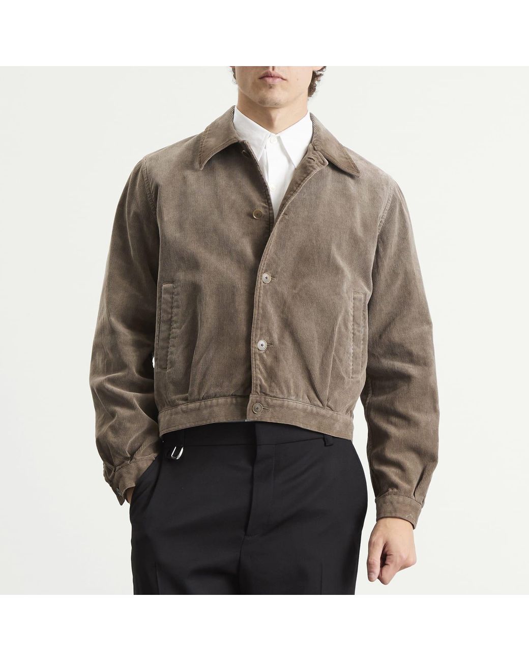 AURALEE Pigment Dyed Finx Corduroy Blouson in Brown for Men | Lyst UK