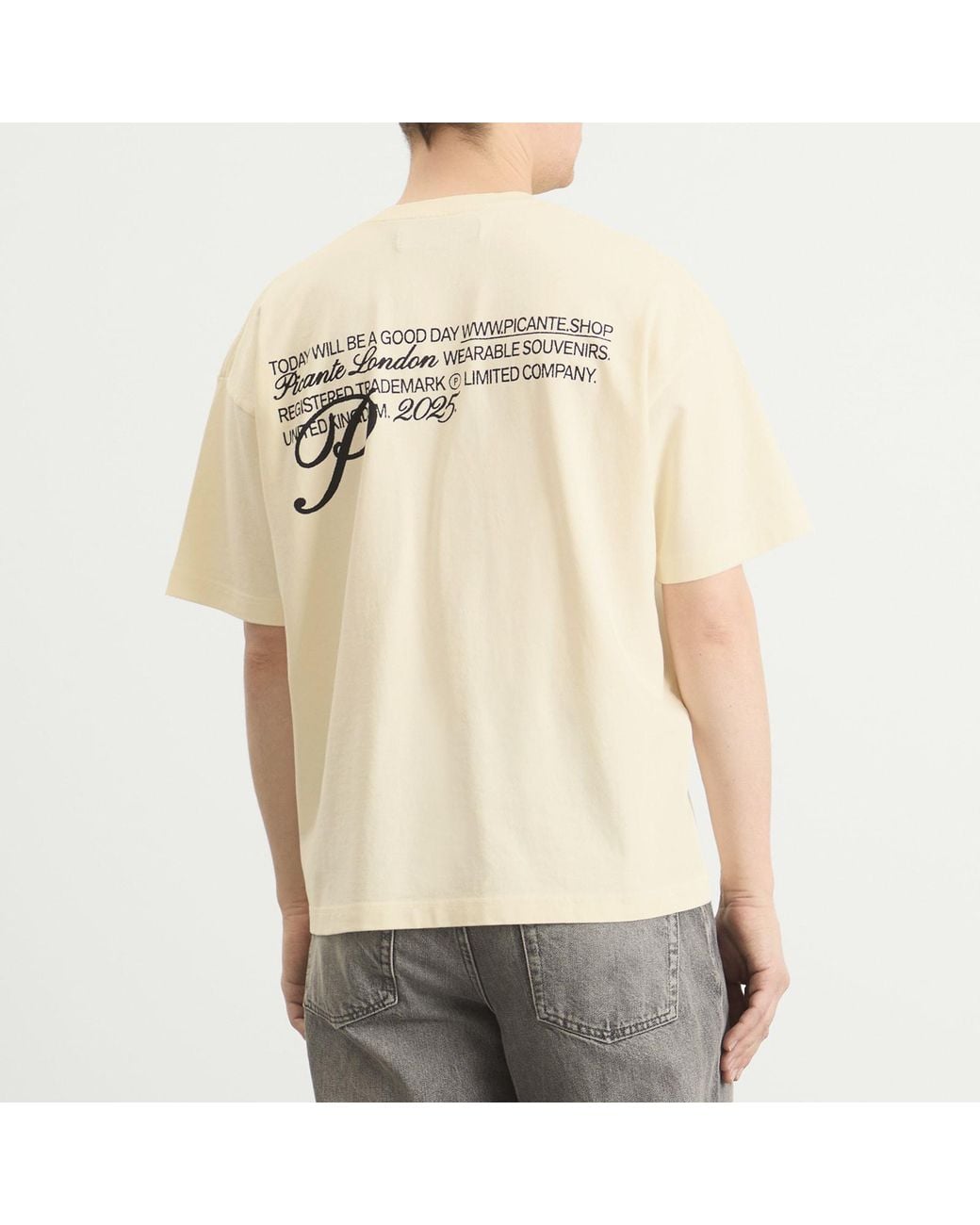Picante Natural Gallery T-Shirt for men
