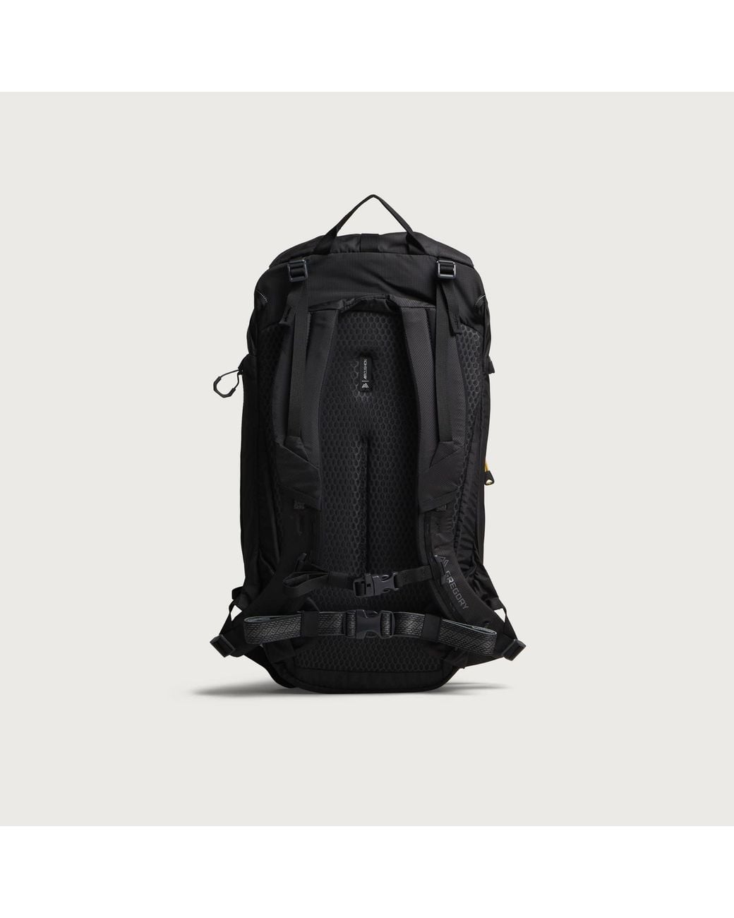 Gregory Black Alpinisto Backpack