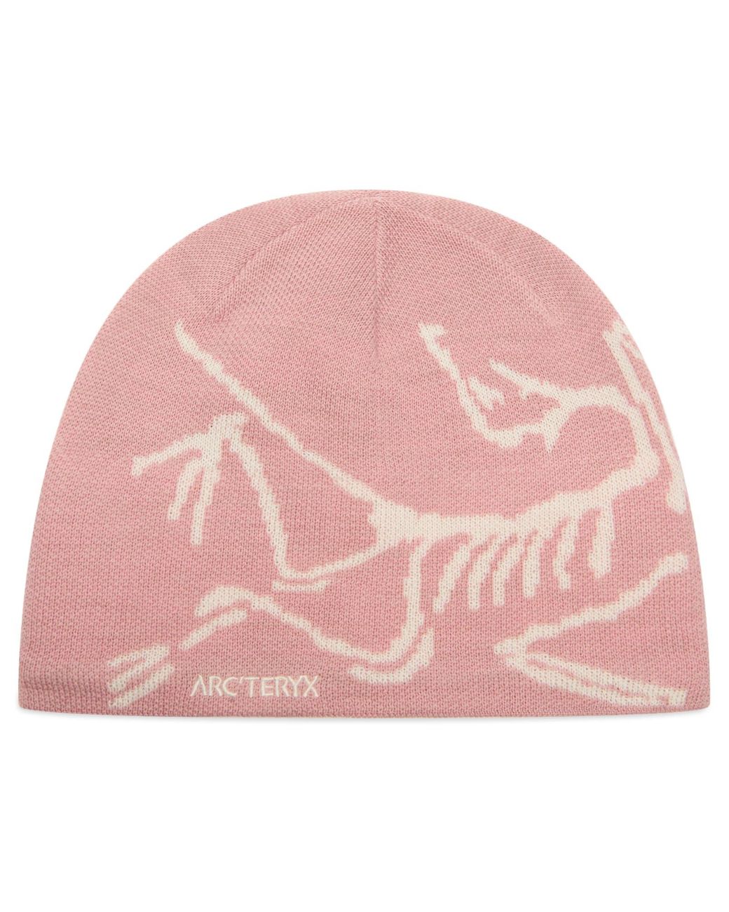 arcteryx-BlissArctic-Silk-Bird