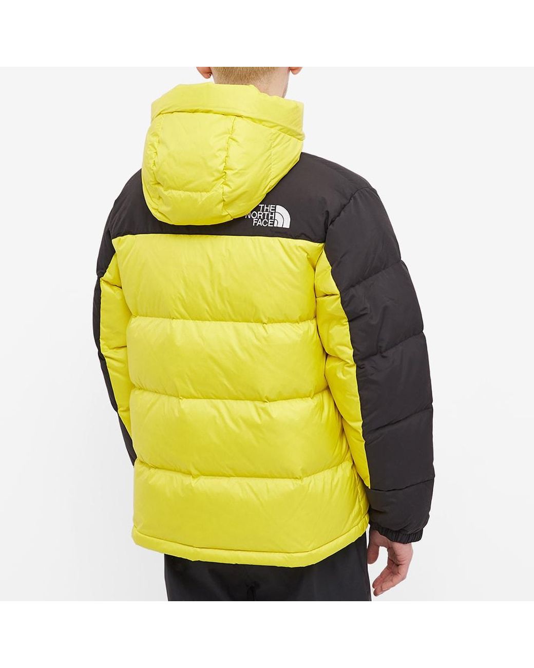 The North Face Himalayan Down Parka Jacket in Yellow for Men | Lyst