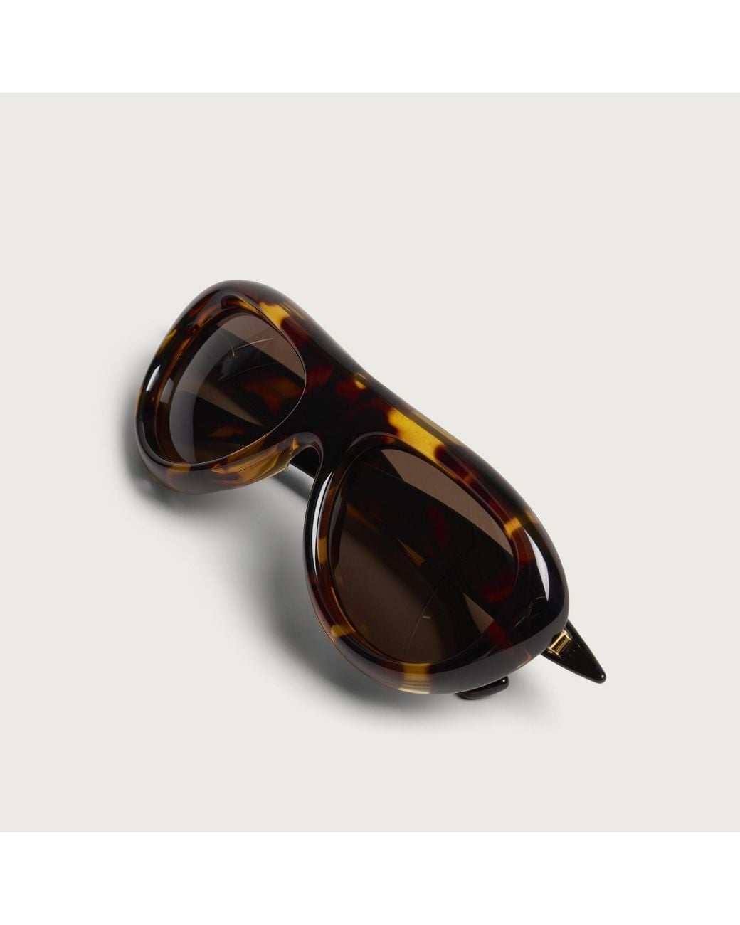 Bottega Veneta Brown Bottega Veneta Bv1483S Sardine Sunglasses