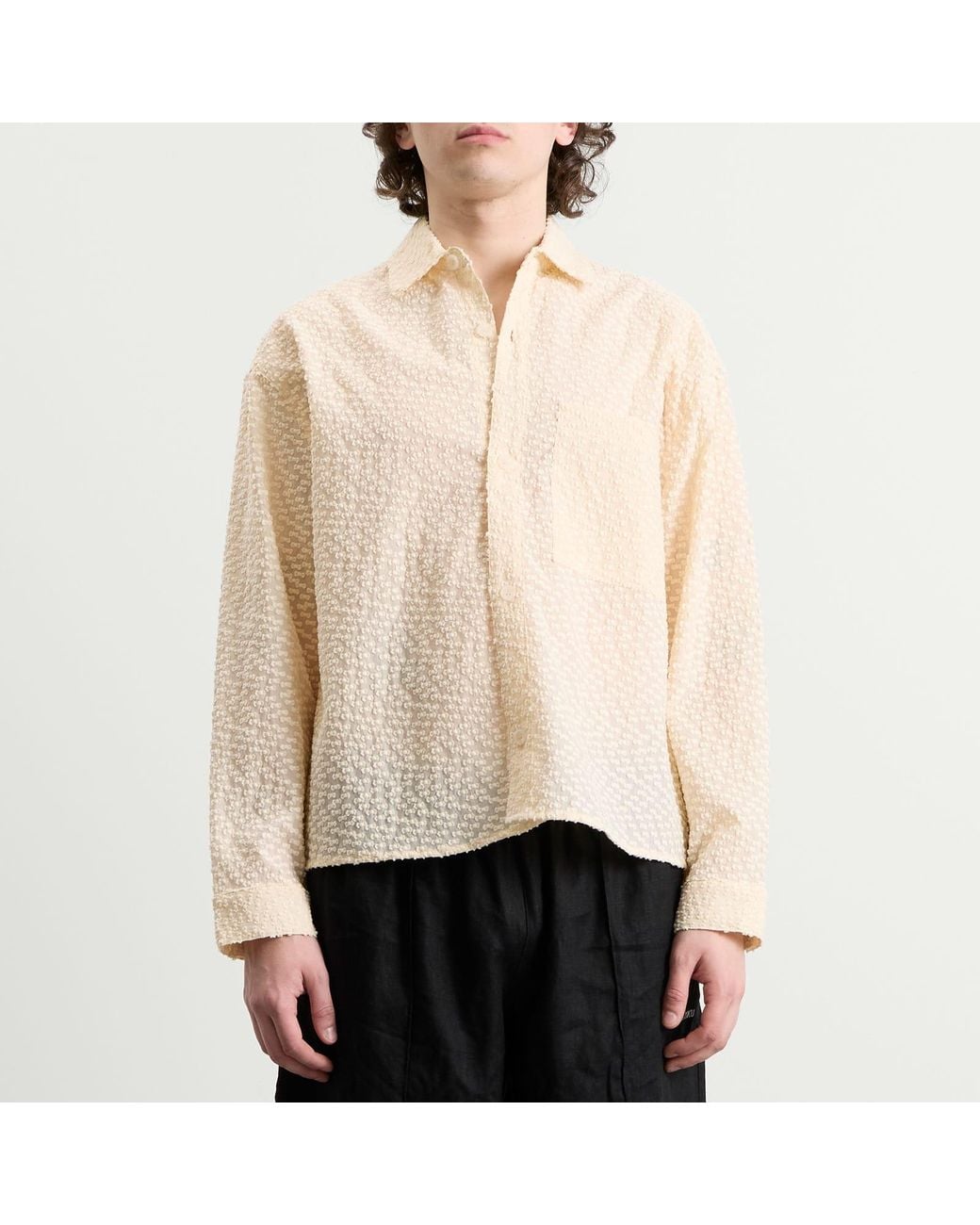 MKI Miyuki-Zoku Natural Ribbon Jacquard Box Dress Shirt for men