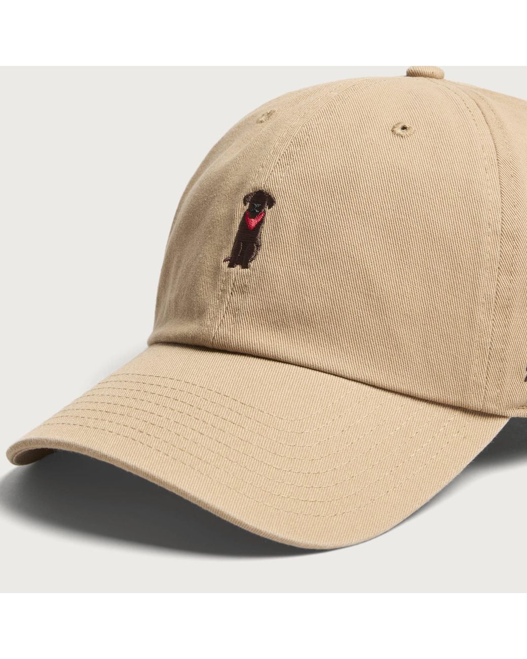 '47 Natural Dogs Clean Up Cap