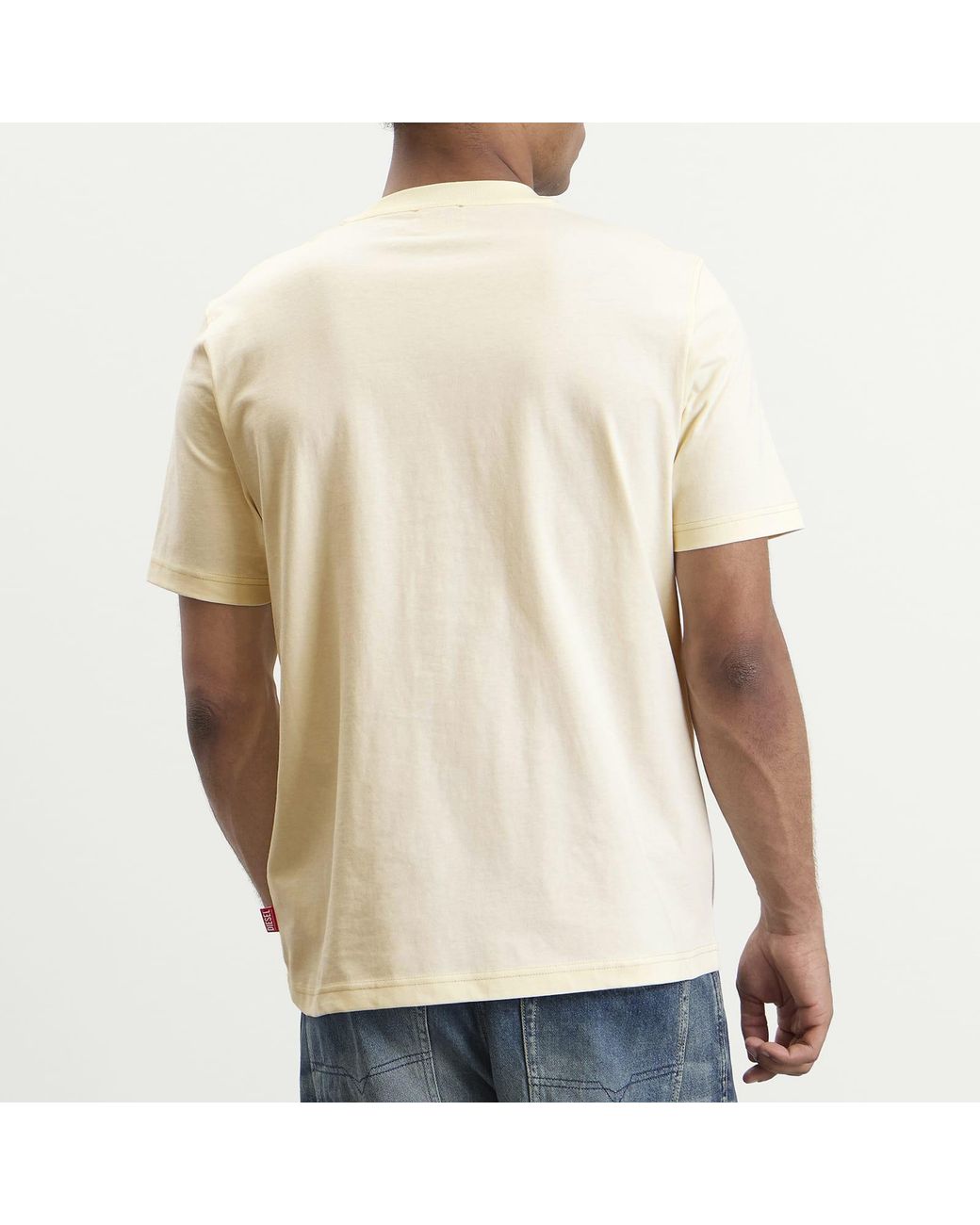 DIESEL Natural Pheonix T-Shirt for men