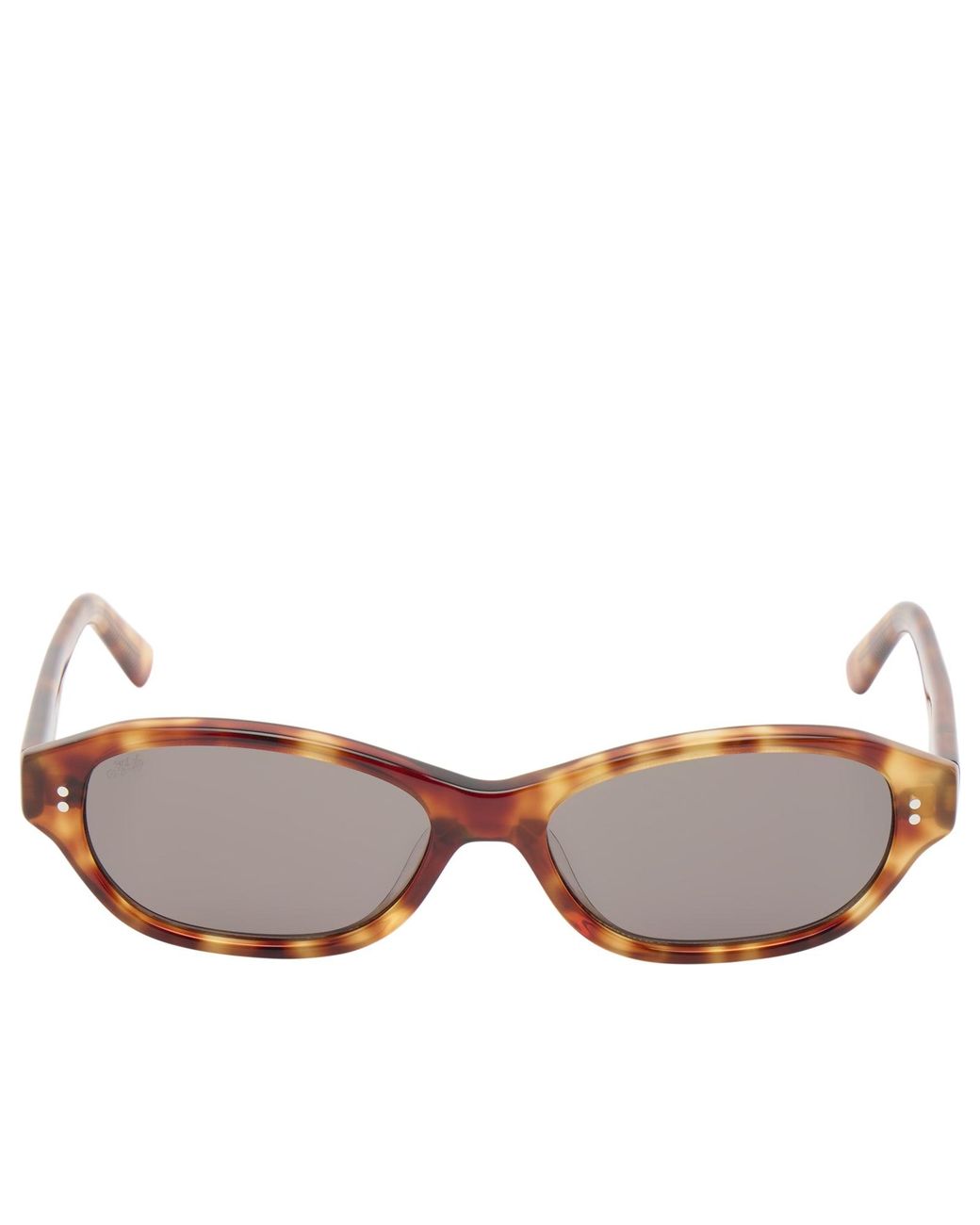 AKILA Brown Rey Sunglasses