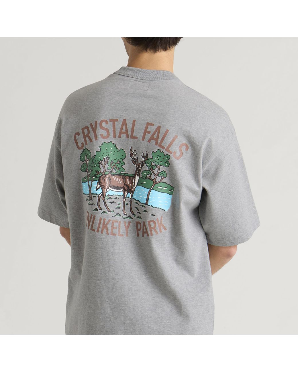 Unlikely Dry Goods Gray Crystal Falls Graphic T-Shirt for men