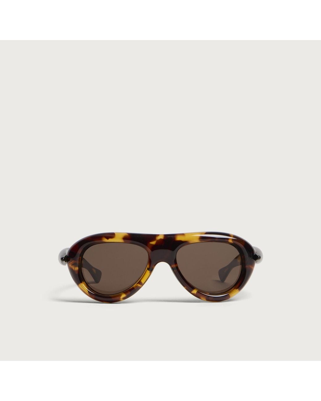 Bottega Veneta Brown Bottega Veneta Bv1483S Sardine Sunglasses