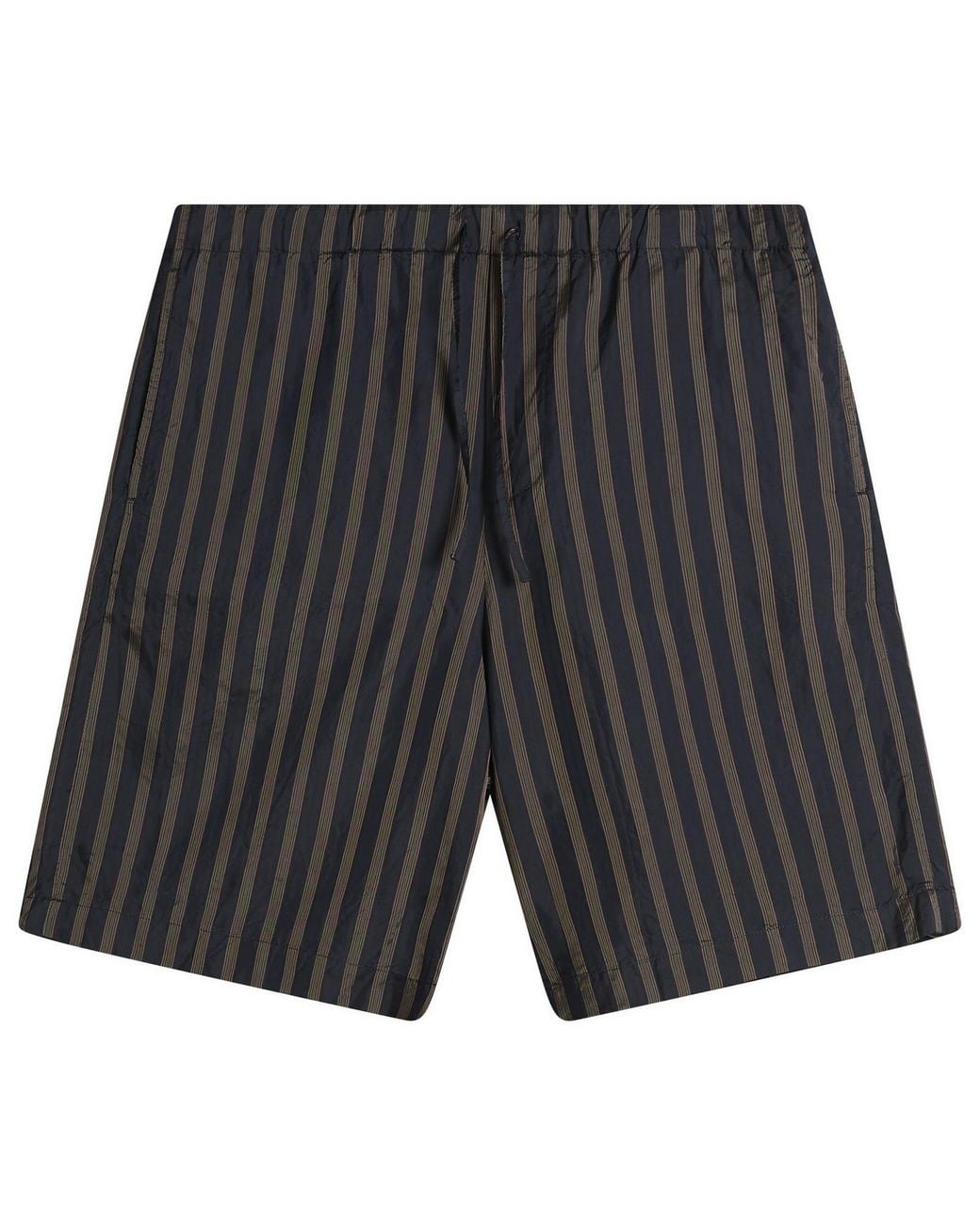 Dries Van Noten Gray Stripe Cupro Shorts for men