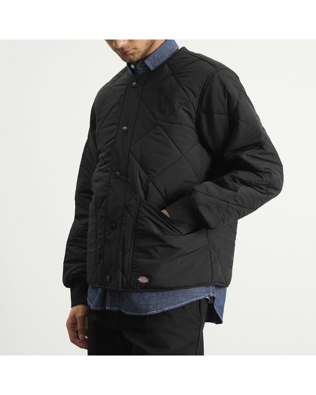 Dickies Black Samburg Liner Jacket for men