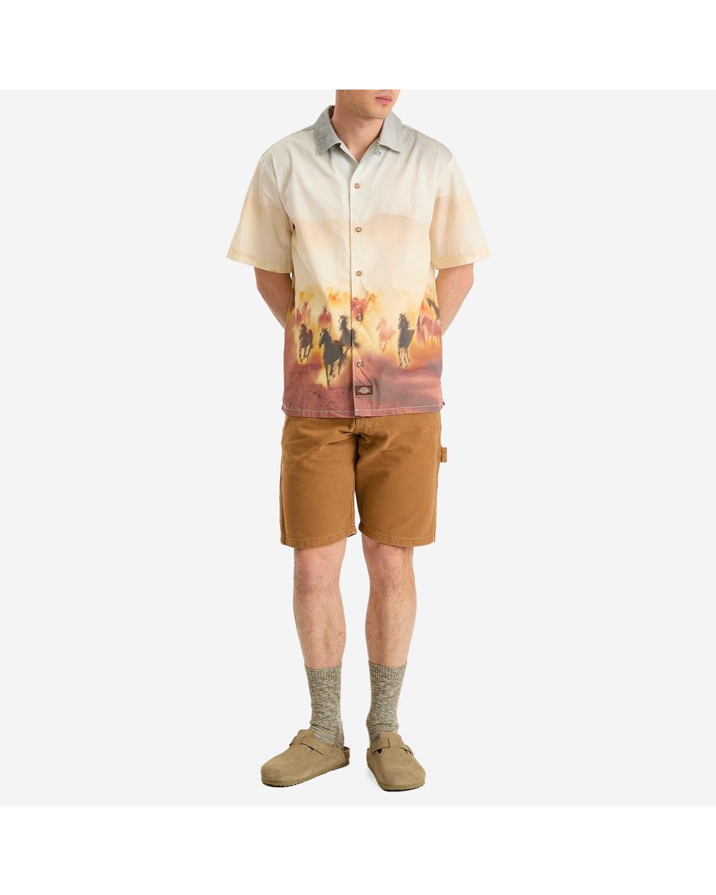 Dickies Brown Duck Carpenter Shorts for men