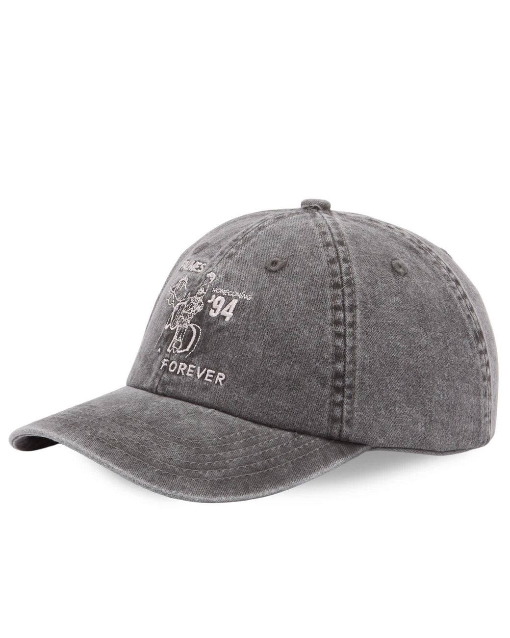 Palmes Gray Forever 6-Panel Cap for men
