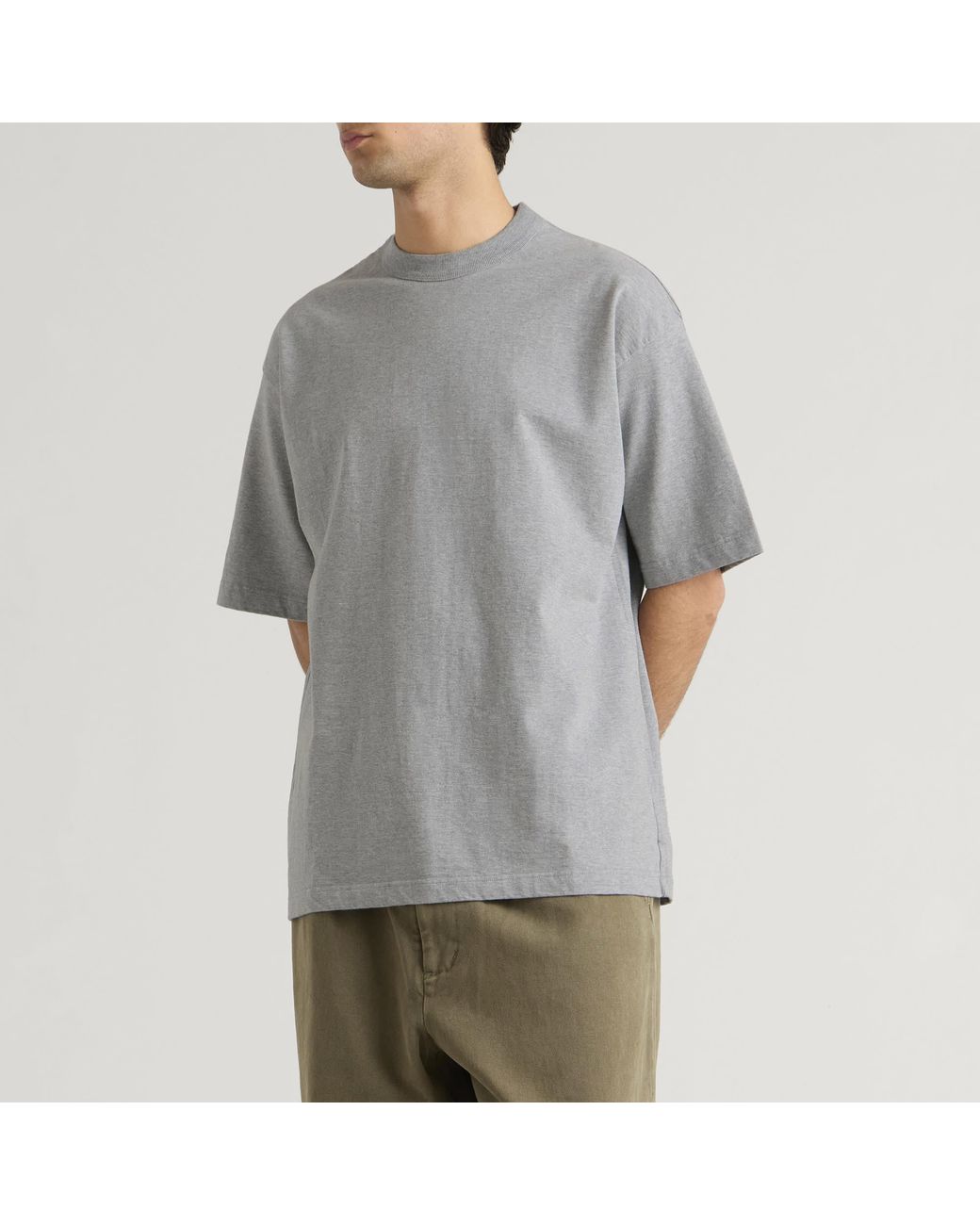 Unlikely Dry Goods Gray Crystal Falls Graphic T-Shirt for men