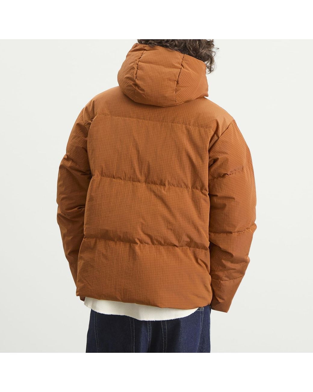 POLAR SKATE Brown Soft Puffer Jacket for men