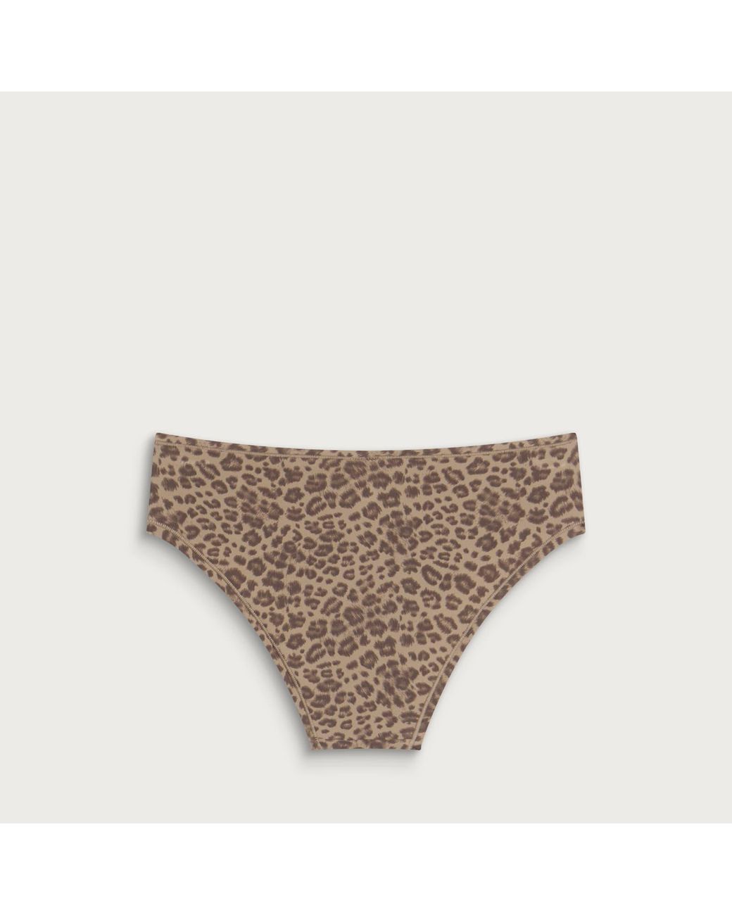 Skims Natural Fits Everybody Cheeky Brief