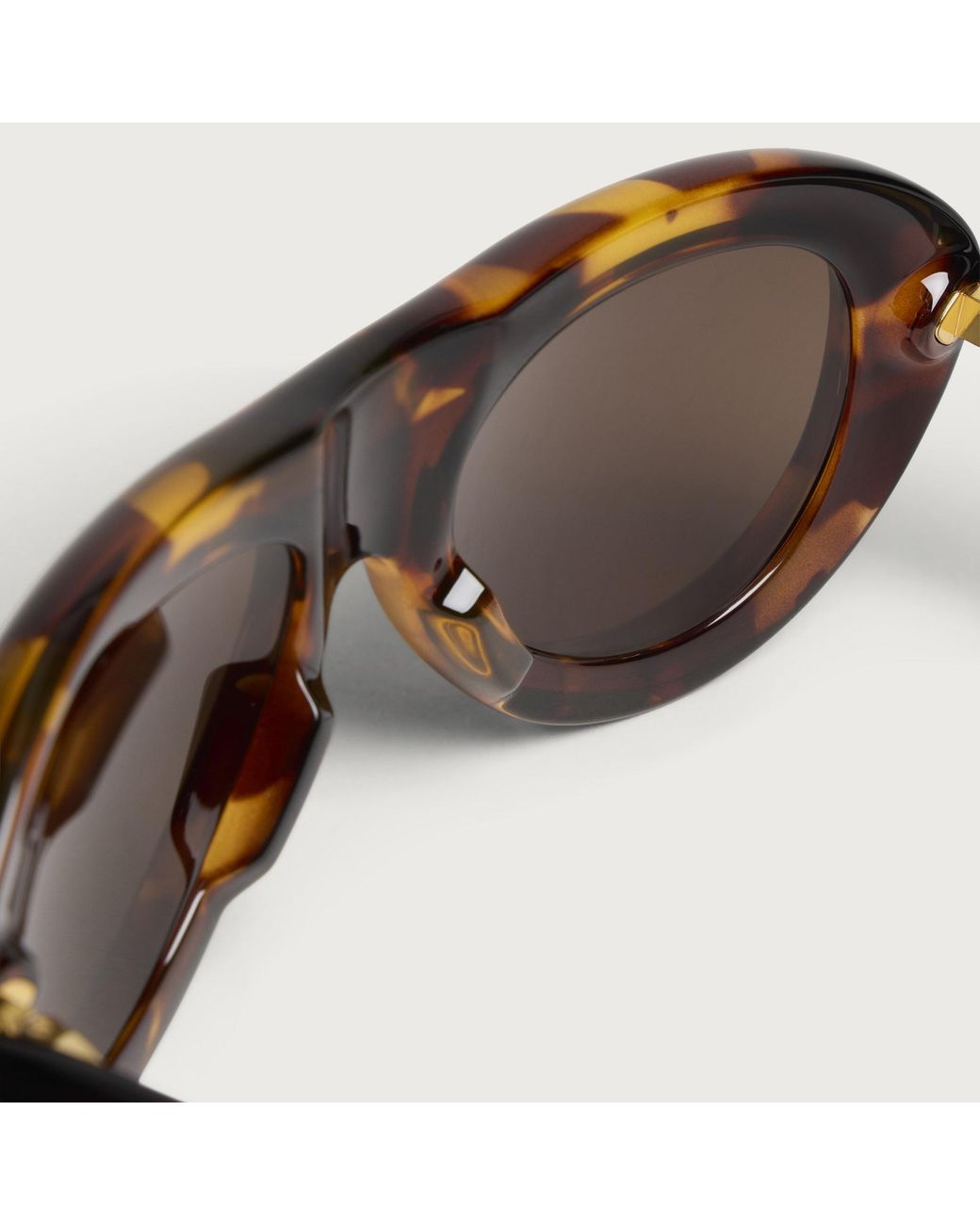 Bottega Veneta Brown Bottega Veneta Bv1483S Sardine Sunglasses