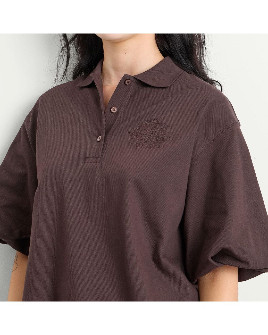 Acne Brown Eteddy Mini Dress