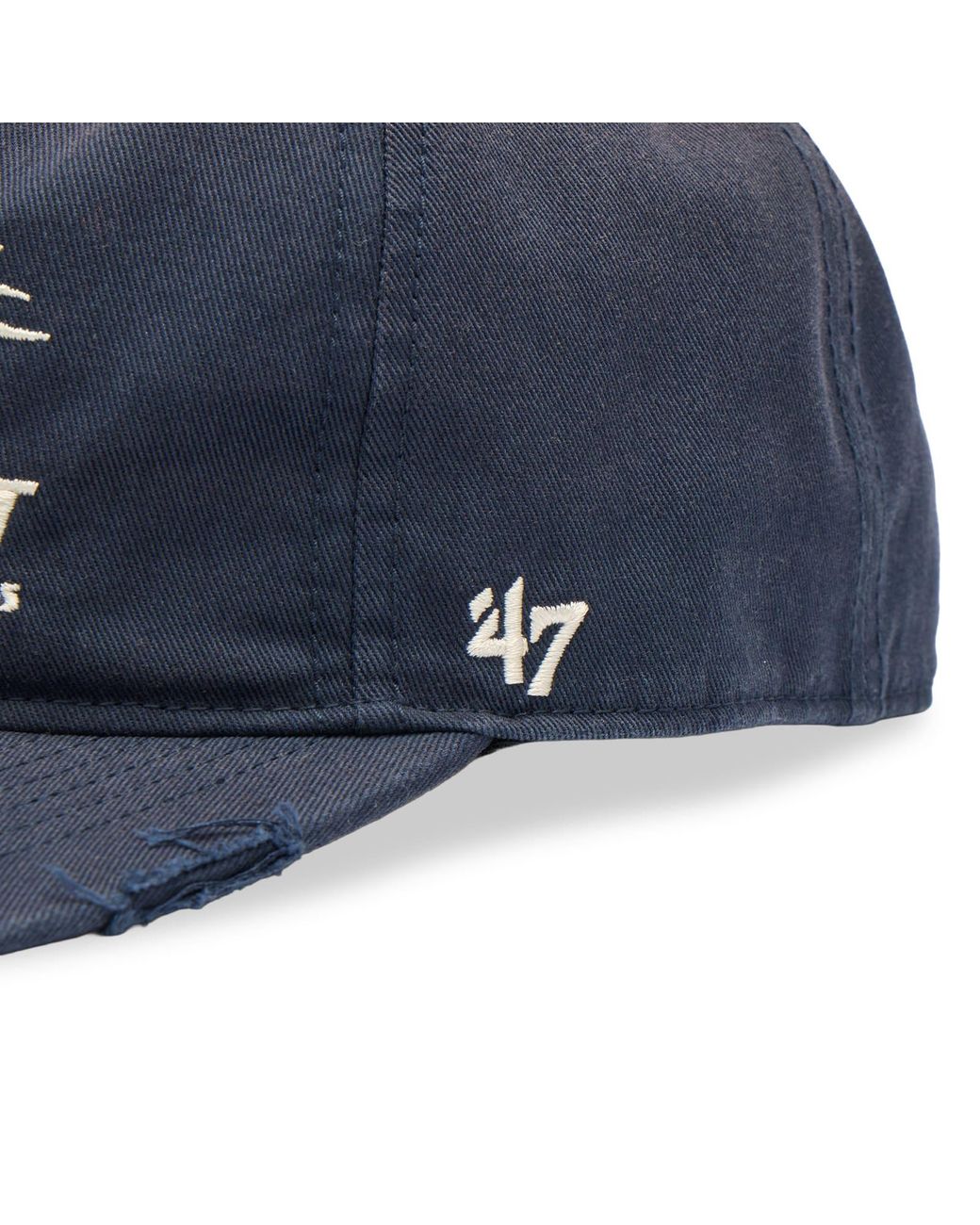 END. Blue Whippet Hitch Cap