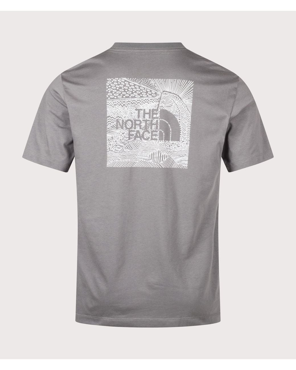 The North Face Gray Regular Fit Nse Box Celebration T-Shirt for men