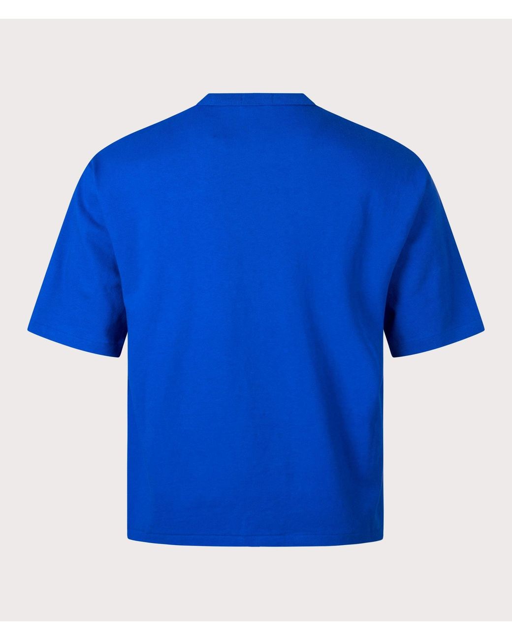 Polo blue big pony online