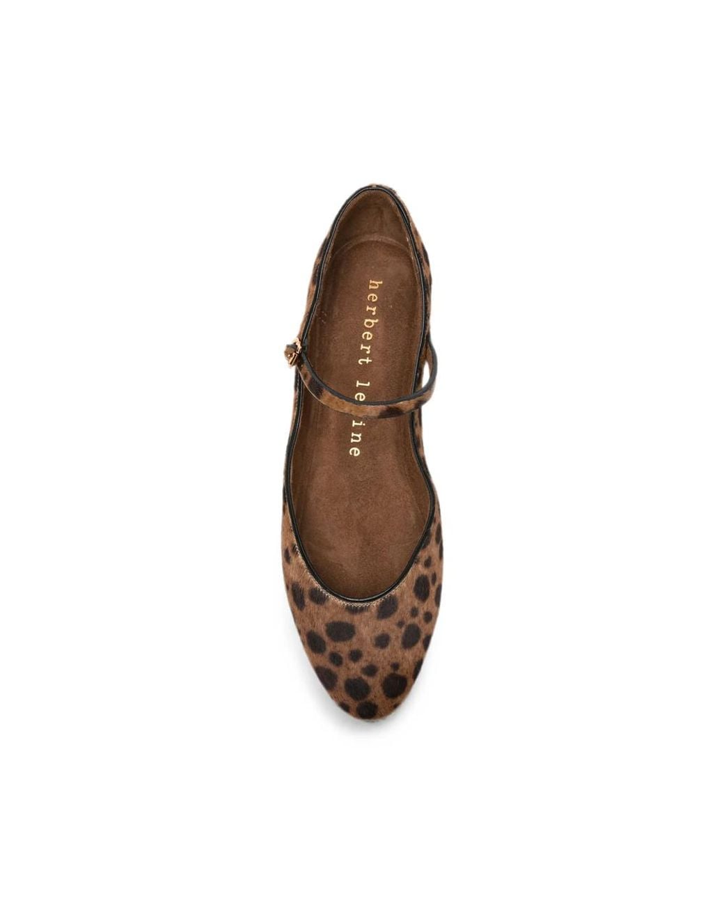 Herbert Levine Brown Rule The Day Leopard-Print Buckle-Strap Ballet Flats