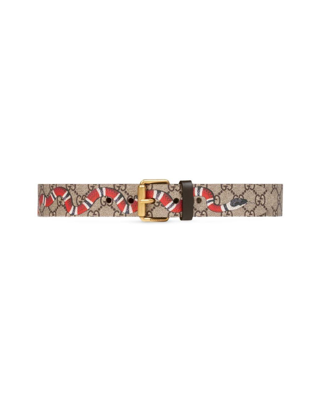 Gucci Kingsnake Print GG Supreme Canvas Belt in Natural for  display picture 1