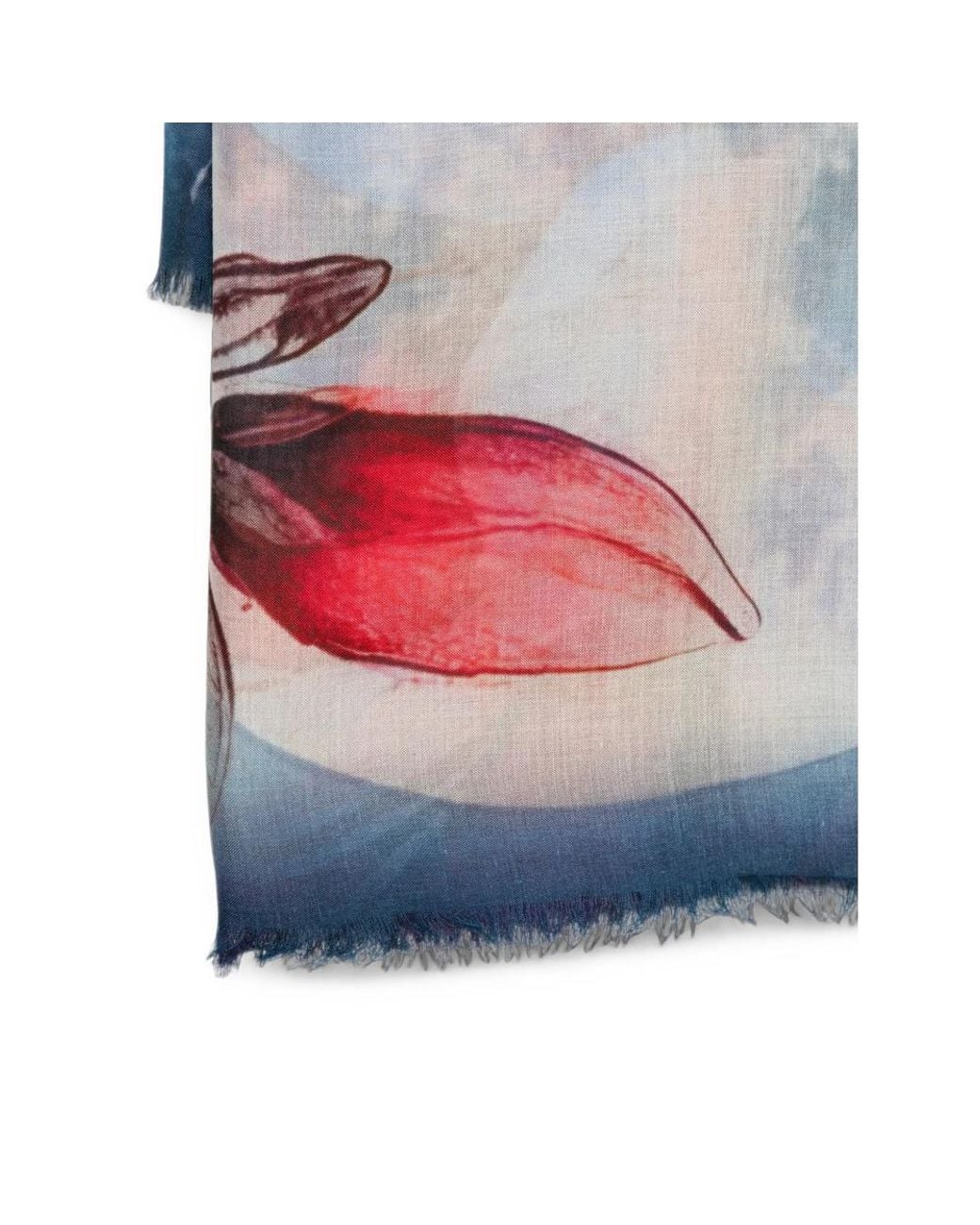 D'Aniello Blue Floral-Print Frayed Scarf