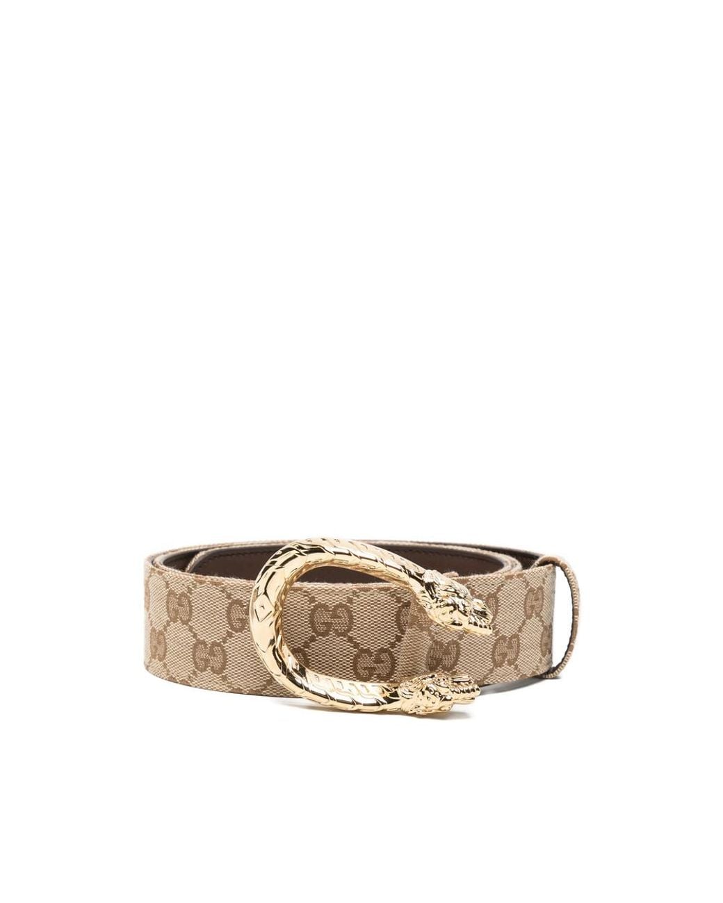 Gucci Natural Neutrals Belts