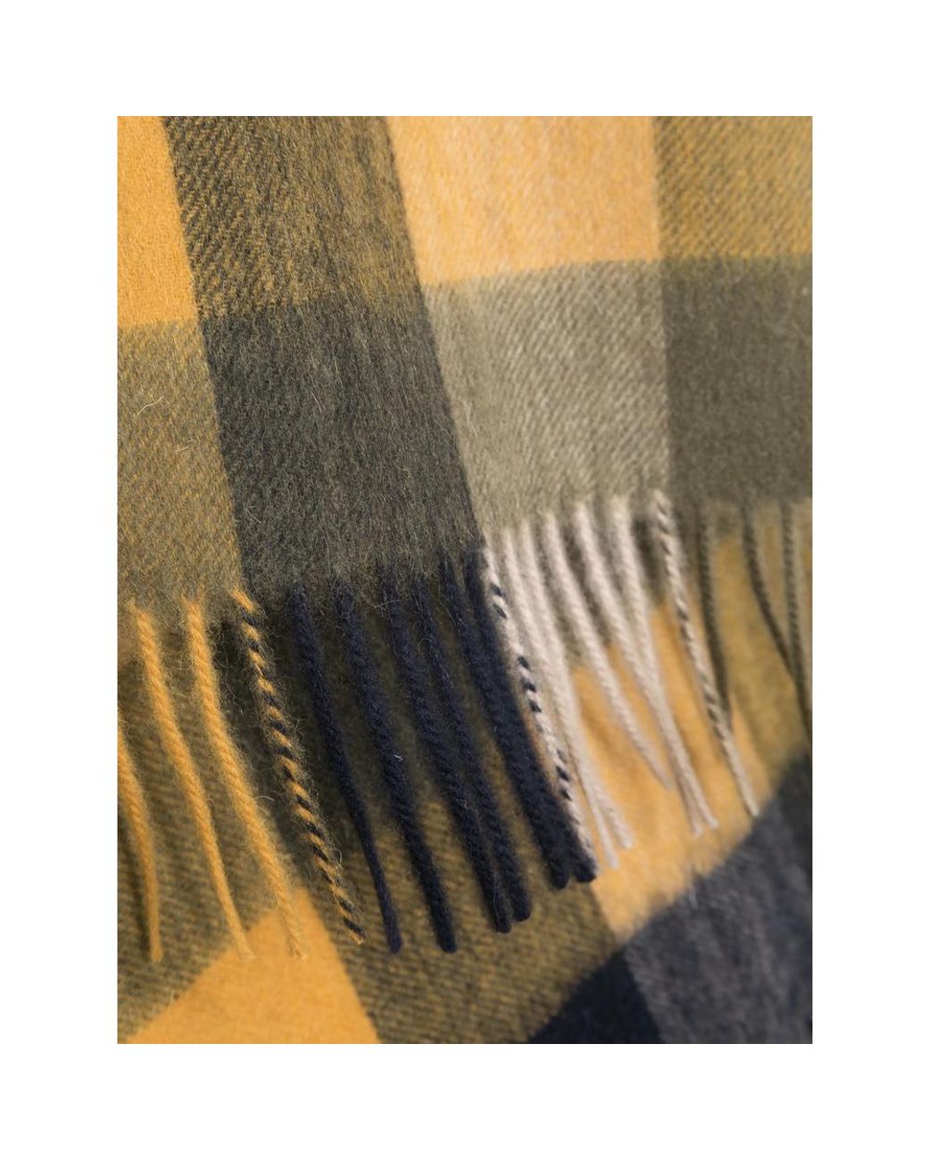 Barbour Multicolor Winter Scarves for men
