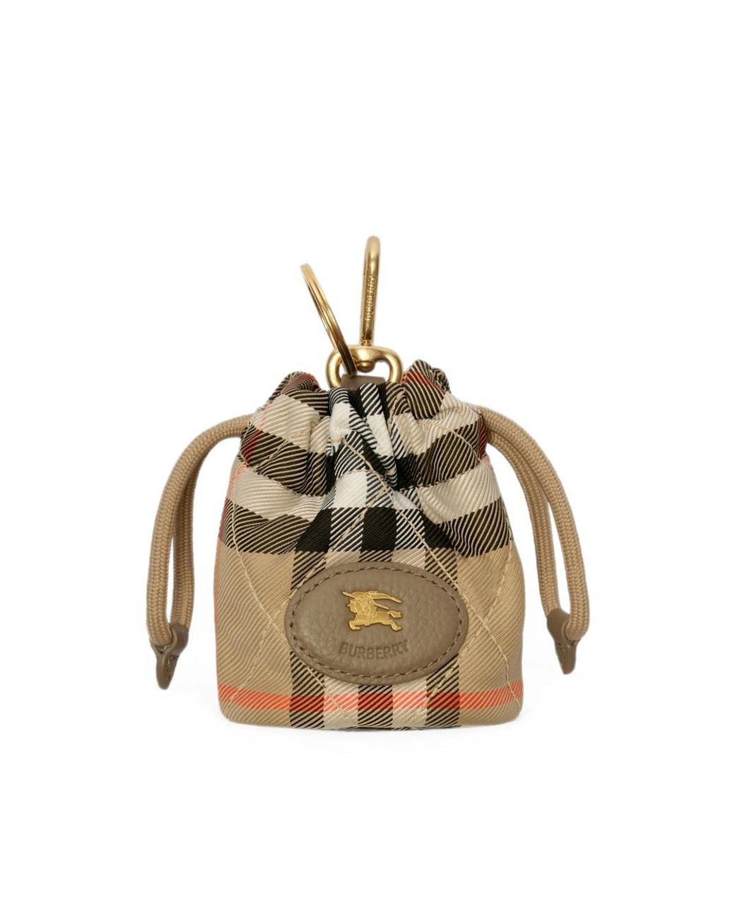 Burberry Metallic Neutrals Bag Accessories