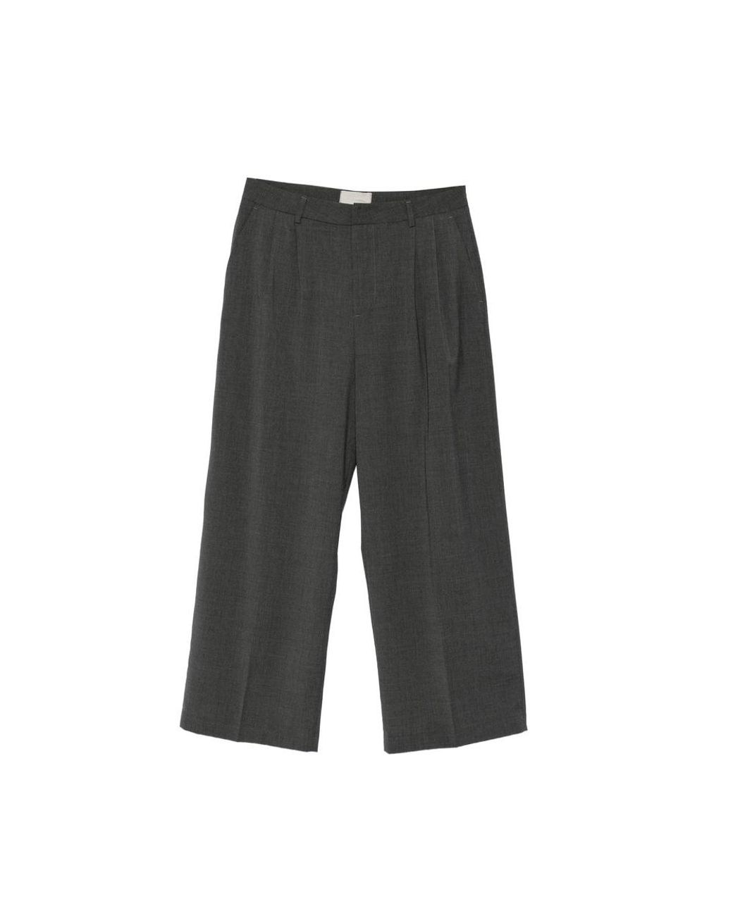 THESTROY Gray Pleated Wide-Leg Trousers for men