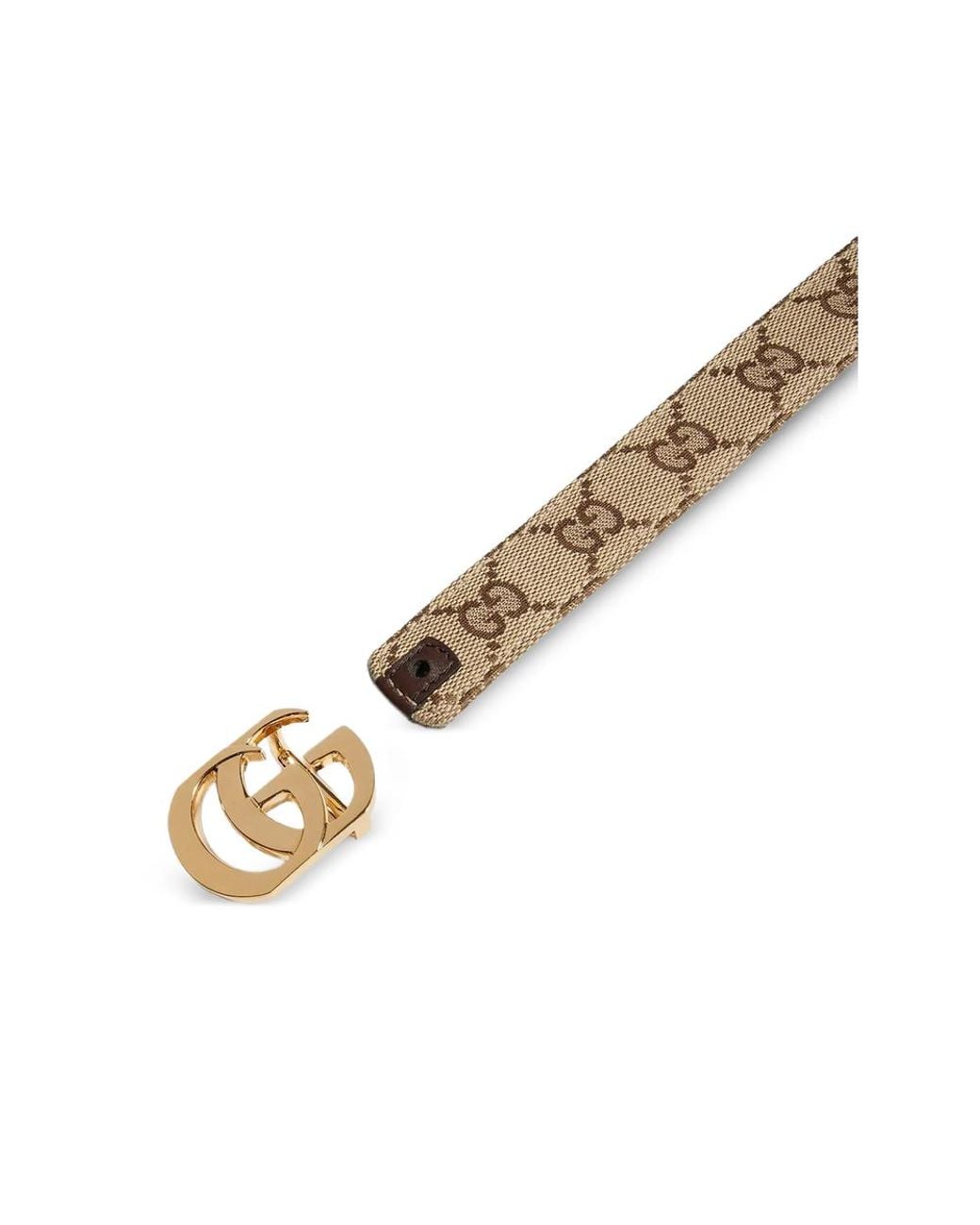 Gucci Brown Neutrals Belts