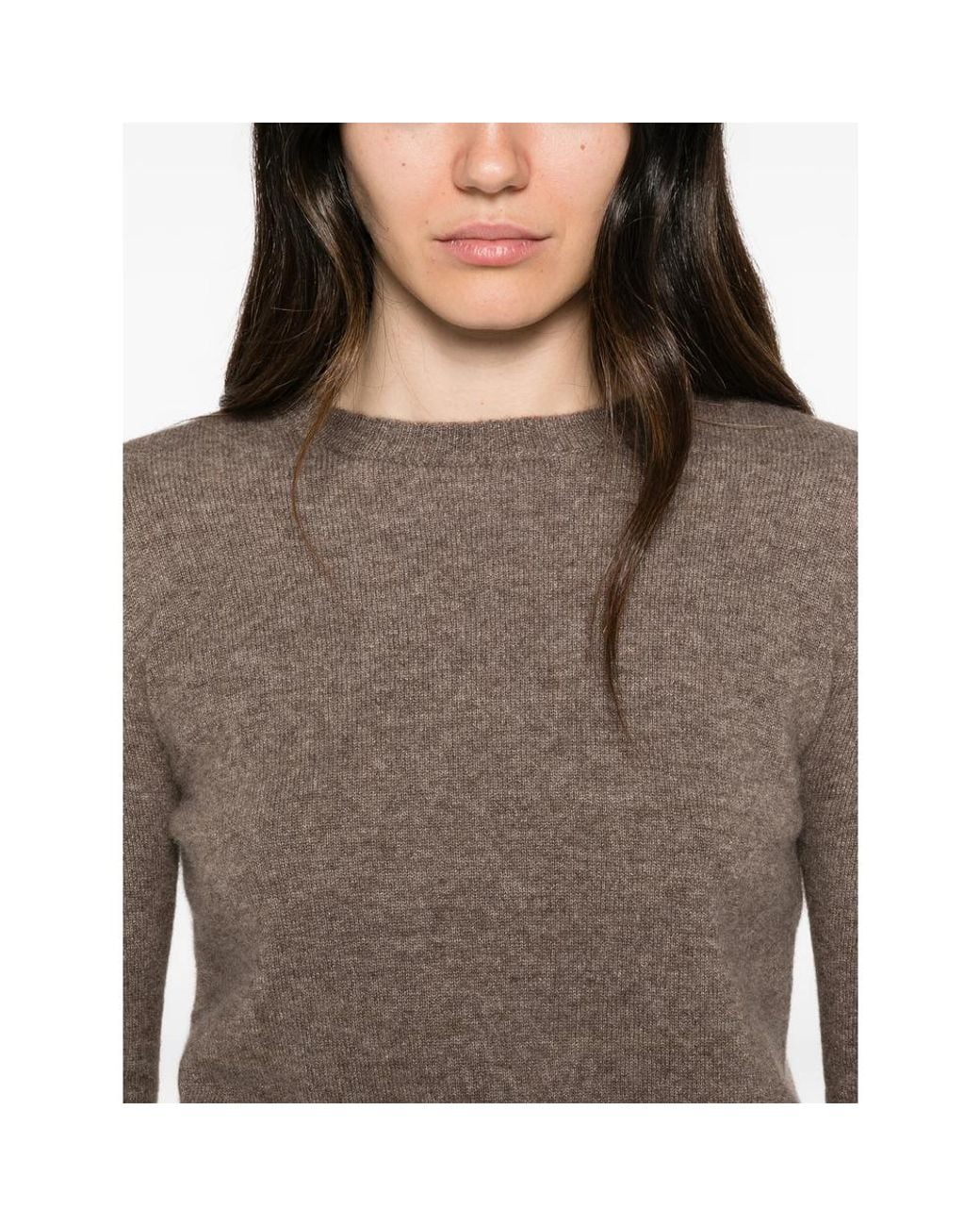 Co. Brown Crew-Neck Long-Sleeve Sweater