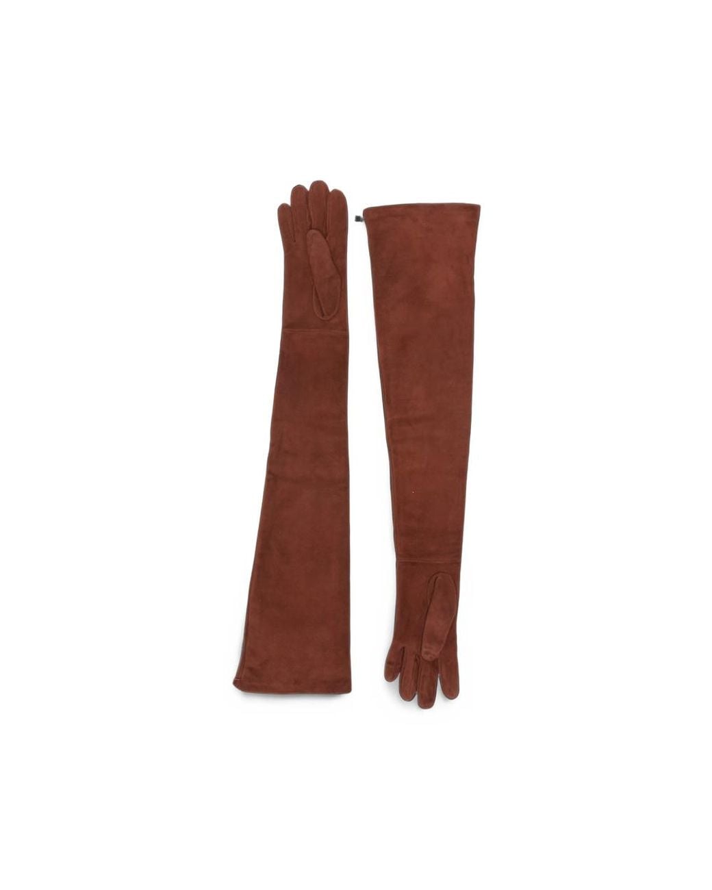 Max Mara Brown Logo-Plaque Long Gloves