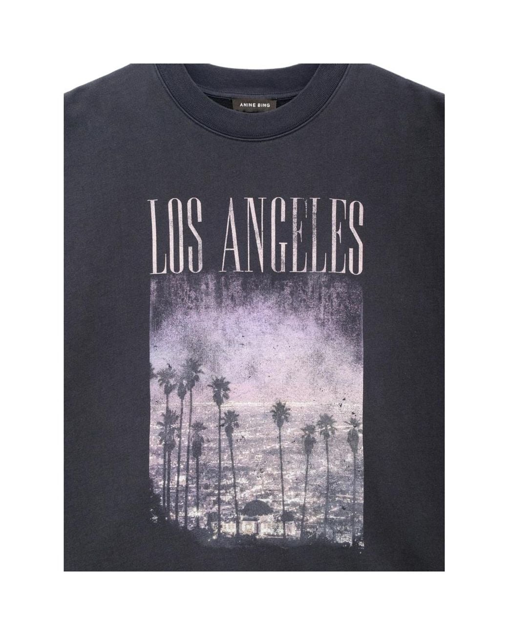 Anine Bing Blue Miles Sweatshirt Los Angeles