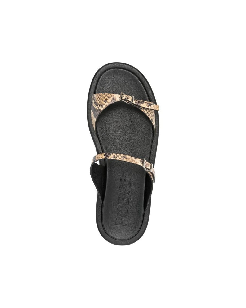 Poeve Black Buckle Sandals