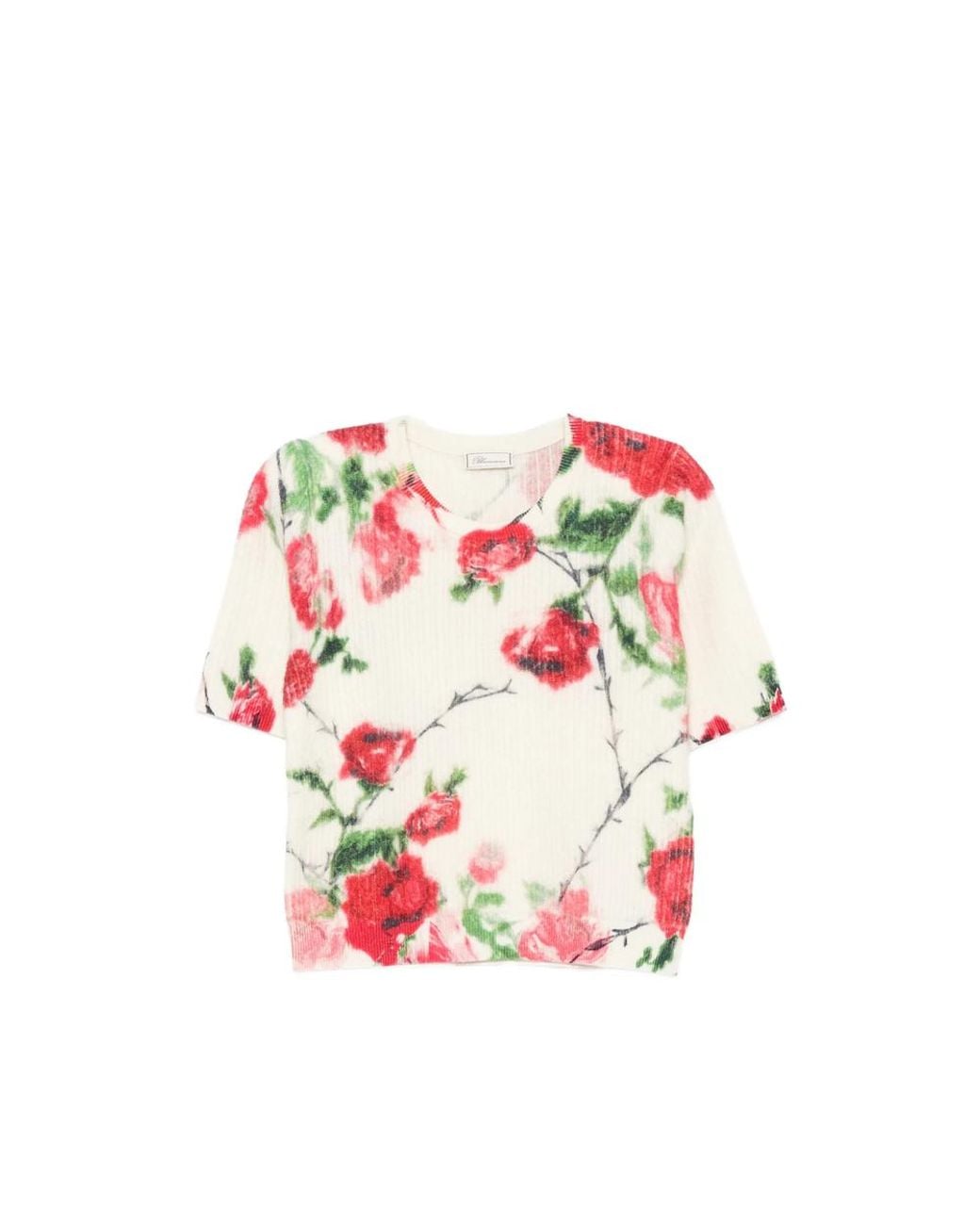 Blumarine Pink St. Rose Floral-Print Ribbed-Knit Sweater